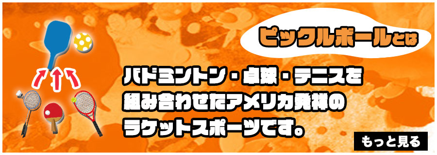 ピックルボールとは