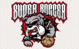 $B!V(BSUPER SOCCER$B!W$N2hA|(B