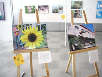 輝いて生きている姿が伝わってくる様々な写真が展示されました。