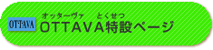 $B%*%C%?!<%t%!FC@_%Z!<%8(B