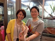 $BE9D9$ND9Ln$5$s$HGr%X%S(B