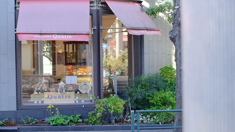 「ライブ後に絶対食べたい！元気が出るプリン」