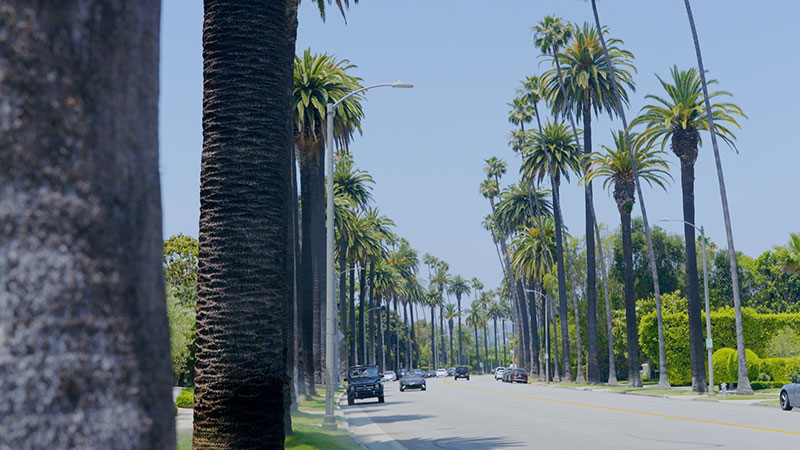 「中学時代からのマイブーム！タピオカ」