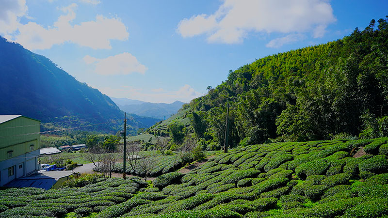 東京・笹塚 「世界陸上出陣へ！台湾そうめん」 ※人生最高の一品