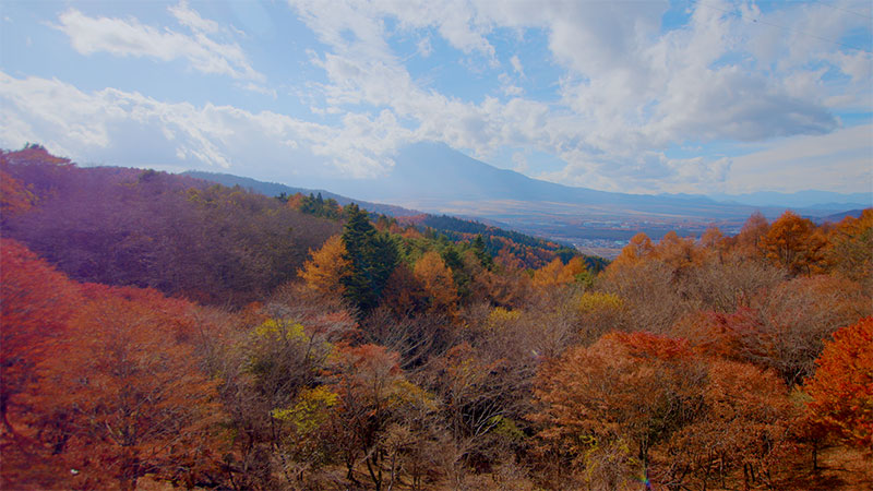 山梨・忍野村 　「海外長期滞在の救い！本格寿司弁当」