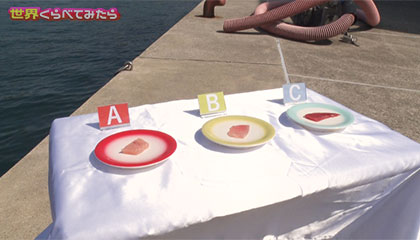 『日本くらべてみたら』<br>★青森県vs和歌山県 地元のまぐろを見抜けるのはどっち？