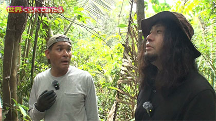 ★世界規模の自由研究！アフリカ＆アマゾンならどんな虫が捕まえられる？