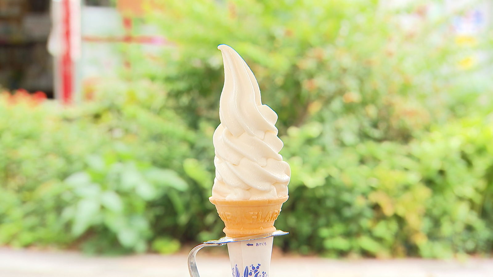 【毎朝牧場から仕入れた新鮮な牛乳で作るチーズが人気】