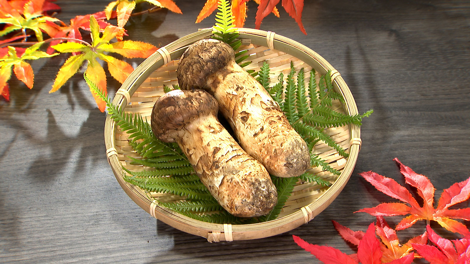 【岩泉まつたけ】