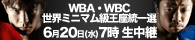 WBA$B!&(BWBC$B@$3&%_%K%^%`5i%?%$%H%kE}0l@o(B