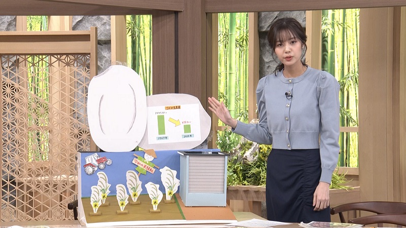 R.6年産 新米🌟 伊達さん家のお米 5kg - 丹後こしひかり 無農薬