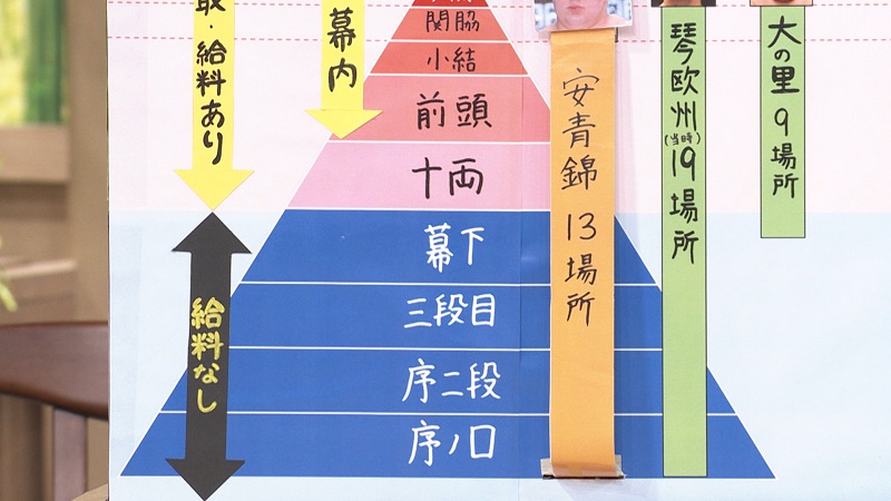 安青錦手形と番付表 安青錦手形と番付表 | ヤマダウェブコム