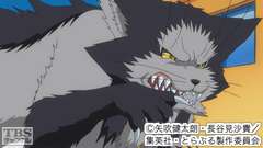 #18 猿山がお土産