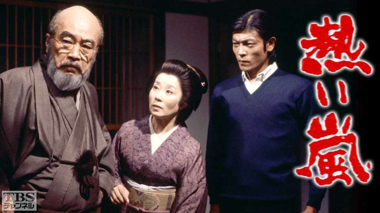 TBS長編大作ドラマ「熱い嵐」