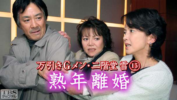 万引きGメン・二階堂雪15「熟年離婚」