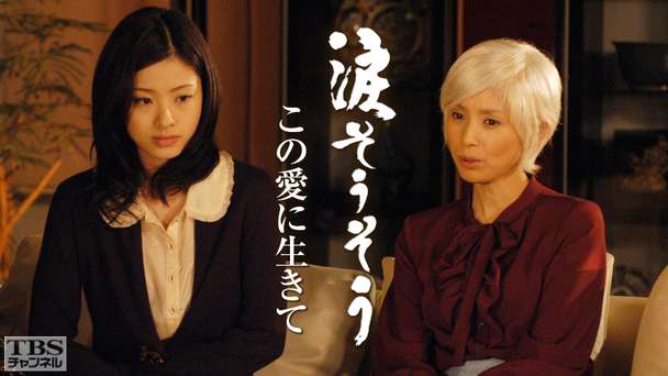 涙そうそう〜この愛に生きて〜