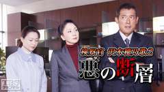 検察官 沢木穂乃歌2 悪の断層