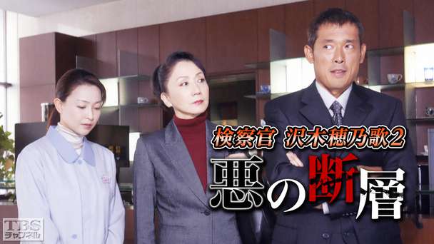 検察官 沢木穂乃歌2 悪の断層