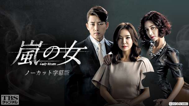 韓国ドラマ「嵐の女」ノーカット字幕版