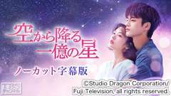 韓国ドラマ「空から降る一億の星」ノーカット字幕版