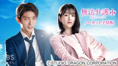 韓国ドラマ「無法弁護士〜最高のパートナー」ノーカット字幕版