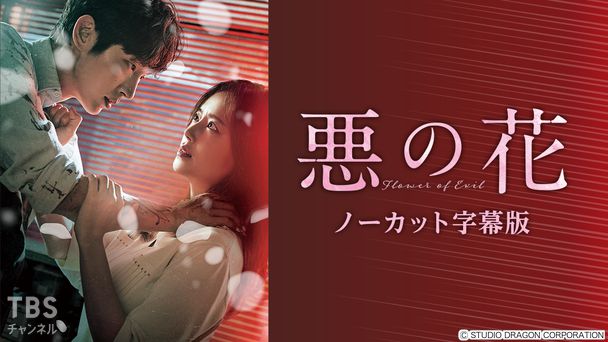 韓国ドラマ「悪の花」ノーカット字幕版