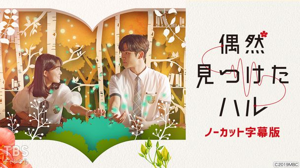 韓国ドラマ「偶然見つけたハル」ノーカット字幕版