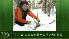 C.W.ニコルさん追悼アンコール『DEER C.W.ニコルが見たエゾシカの世界』