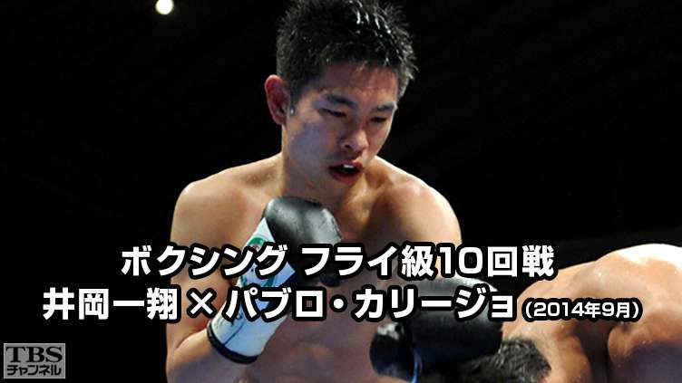 ボクシング フライ級10回戦 井岡一翔×パブロ・カリージョ(2014年9月)