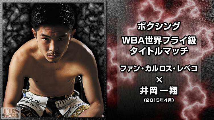 ボクシング WBA世界フライ級タイトルマッチ ファン・カルロス・レベコ×井岡一翔 完全版(2015年4月)