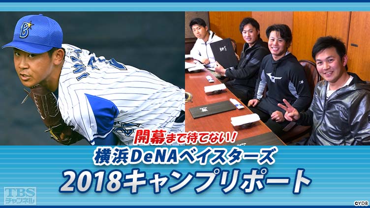 開幕まで待てない!横浜DeNAベイスターズ2018キャンプリポート