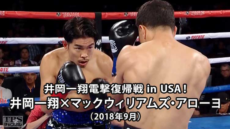 井岡一翔電撃復帰戦 in USA!ボクシング 井岡一翔×マックウィリアムズ・アローヨ(2018年9月)
