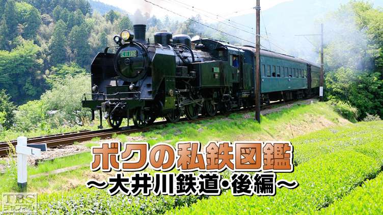ボクの私鉄図鑑〜大井川鉄道・後編〜