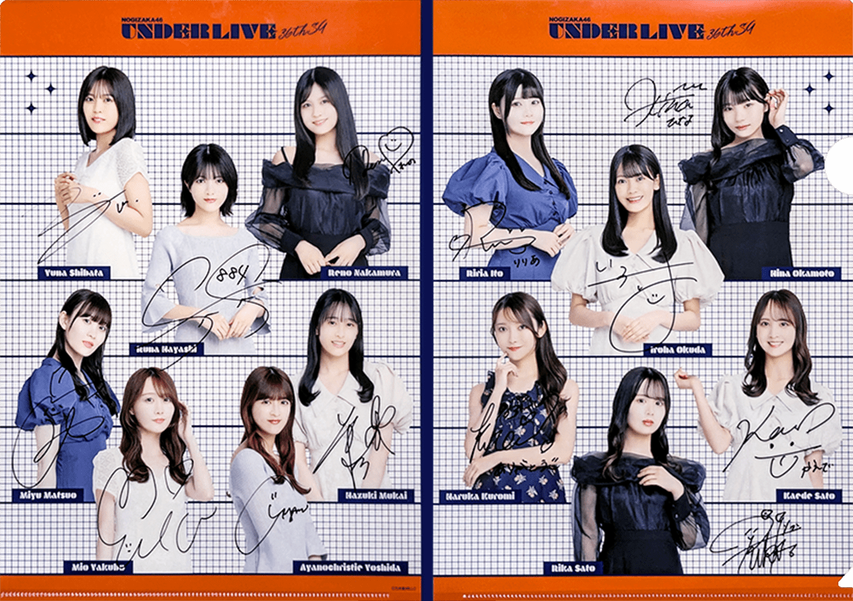 乃木坂46 36thSGアンダーライブ 出演メンバー全員の直筆サイン入りクリアファイル 写真