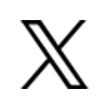 公式X