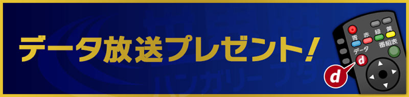 アジア大会　中国　杭州　TBS ピンバッチ　レア アジア大会 中国 杭州 TBS ピンバッチ レア