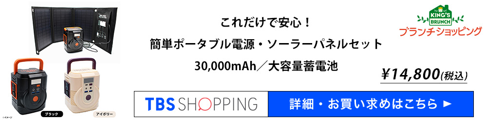 ブランチショッピング