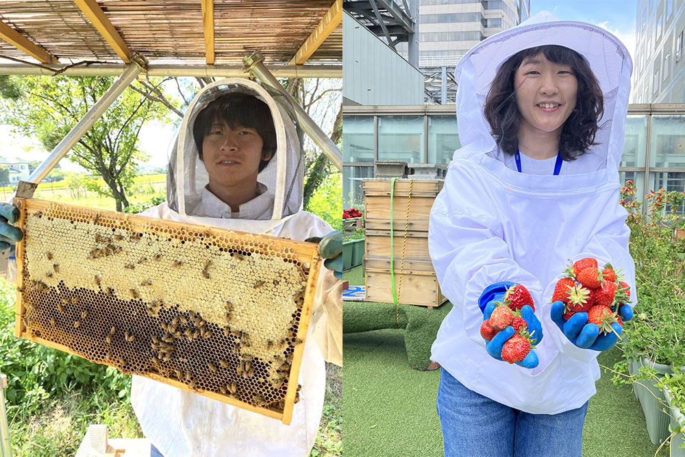 TBS放送センター屋上の養蜂場Bee Park