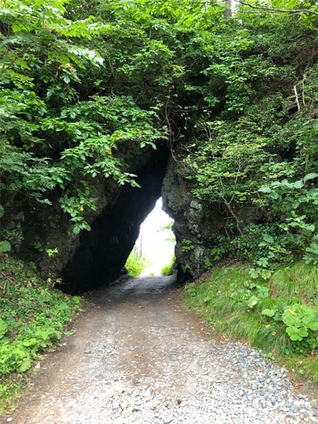 トトロ穴引きカット