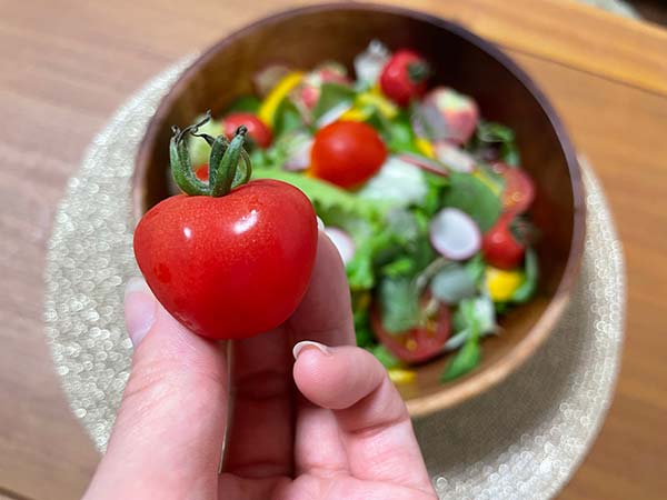 サラダ背景トマトアップ