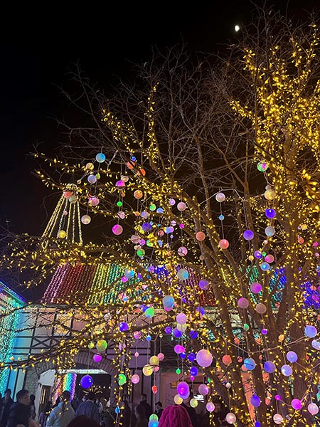 木イルミ