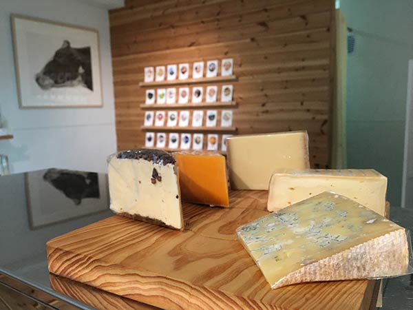 チーズいろいろ