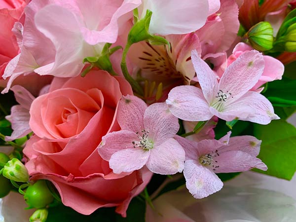 スプレーマリンブルー