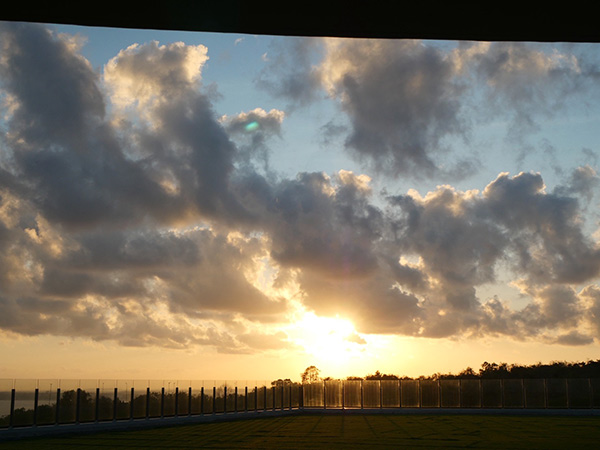 写真13