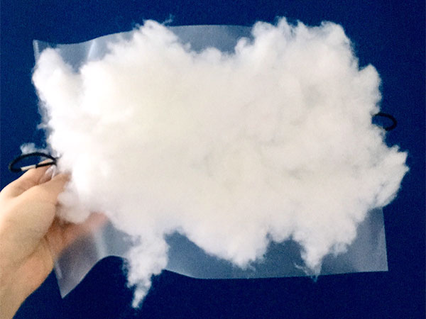 クリアファイルと綿