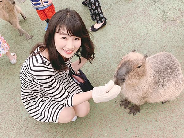 島津とカピバラ