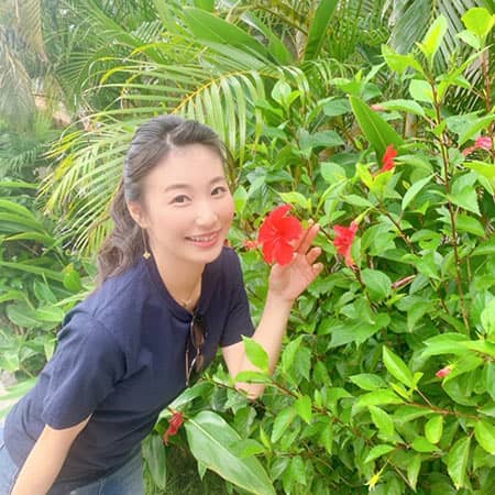 ハイビスカスと島津