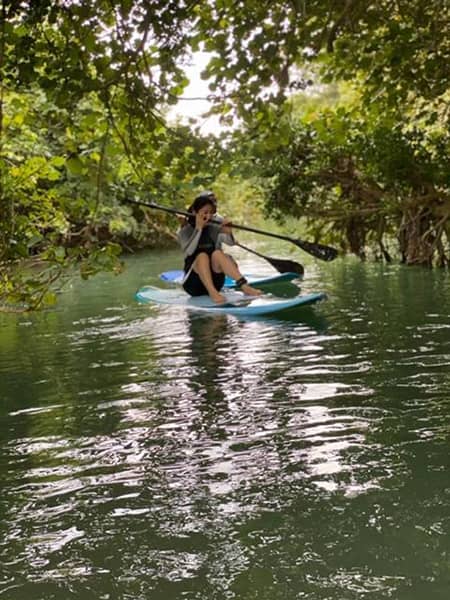 マングローブの下