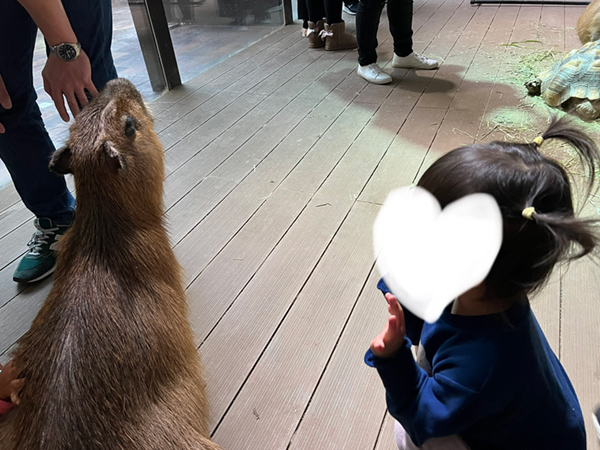 カピバラと座る娘
