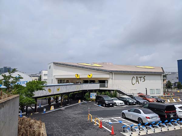 米澤キャスター 日傘